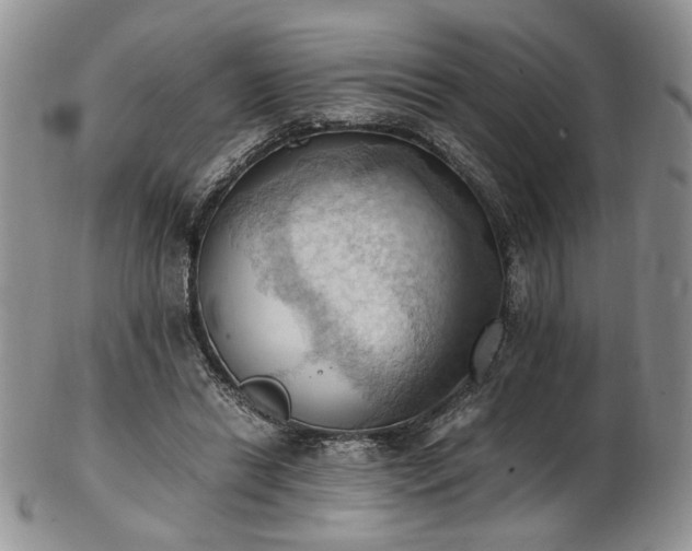 X0000103140446200808221219