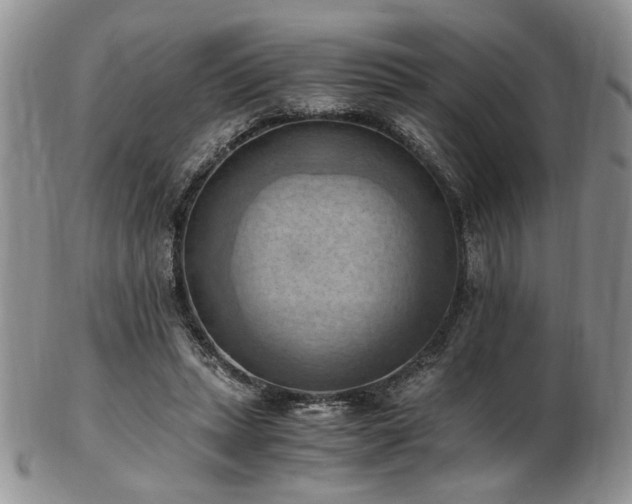 X0000103140447200808221219