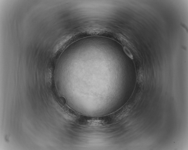 X0000103140448200808221219