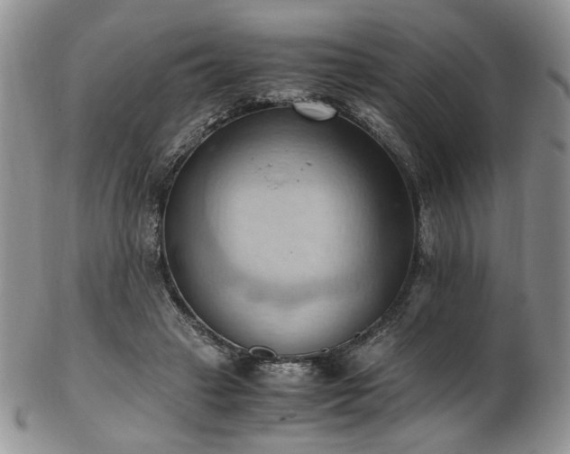 X0000103140449200808221220