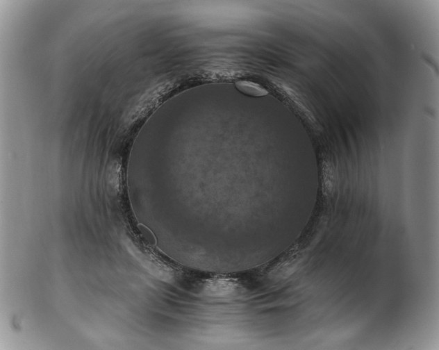 X0000103140451200808221220