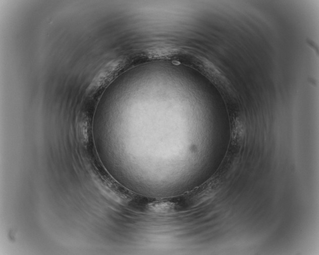 X0000103140452200808221220