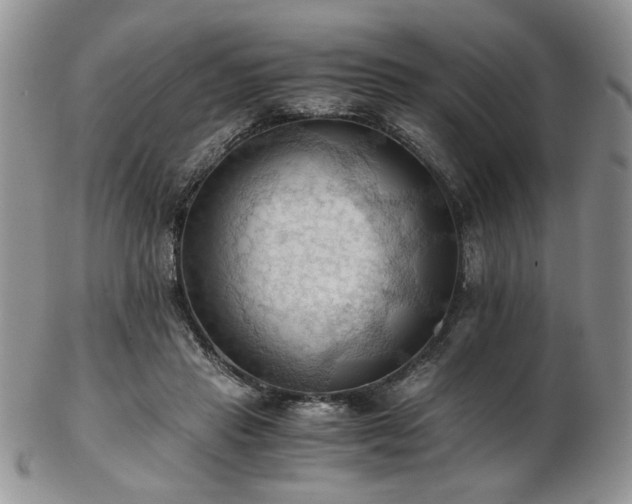 X0000103140453200808221220