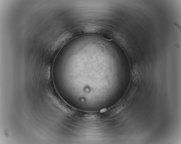 X0000103140454200808221220