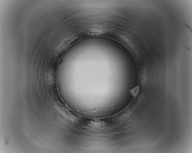 X0000103140455200808221220