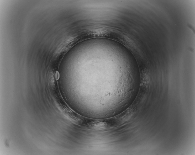 X0000103140456200808221220