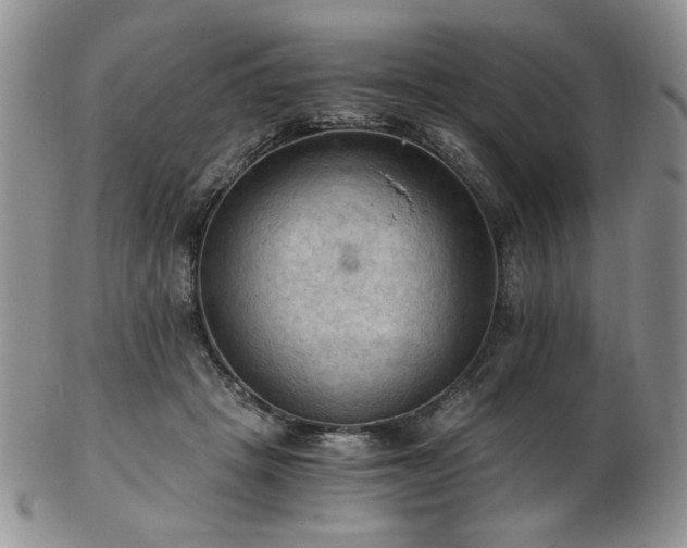 X0000103140457200808221220