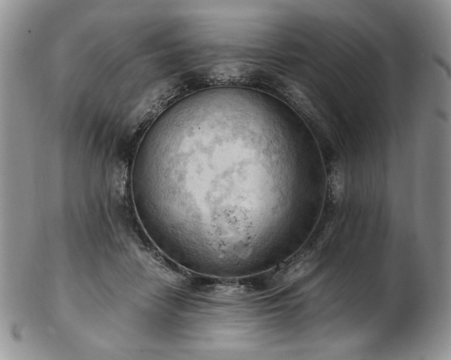 X0000103140458200808221220