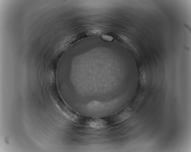 X0000103140459200808221220