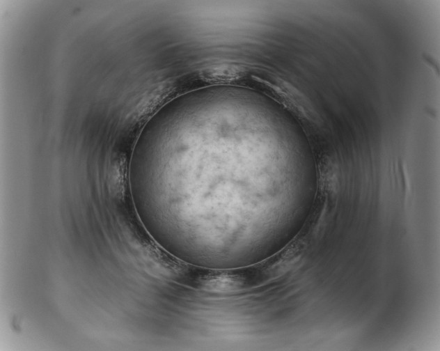 X0000103140460200808221220