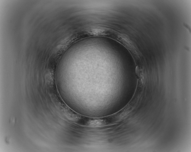 X0000103140461200808221220