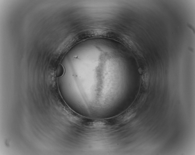 X0000103140462200808221220