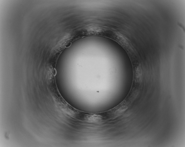 X0000103140463200808221220