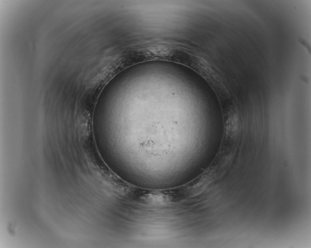 X0000103140464200808221220