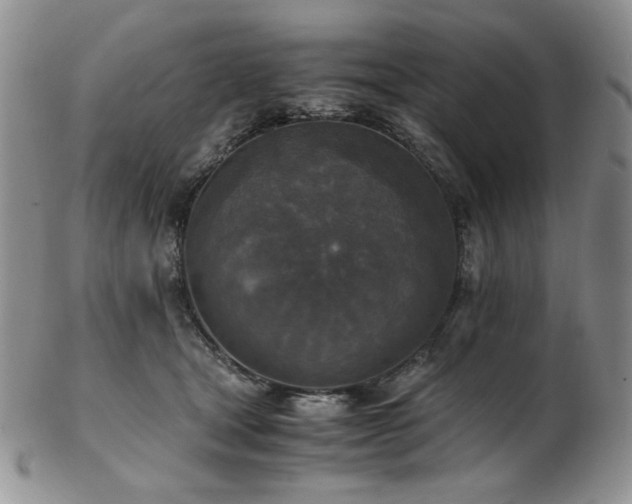 X0000103140465200808221220