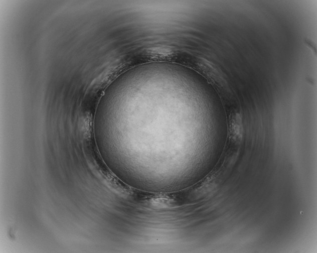 X0000103140468200808221220