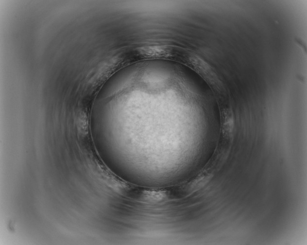 X0000103140469200808221220