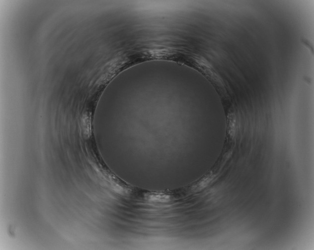 X0000103140471200808221220