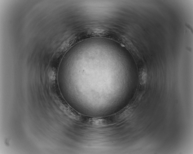 X0000103140472200808221220