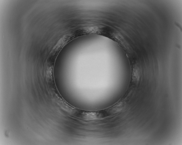 X0000103140473200808221220