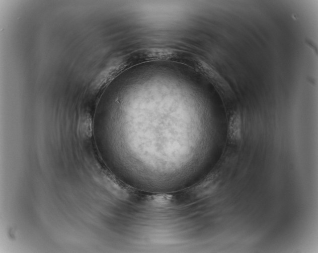 X0000103140474200808221220