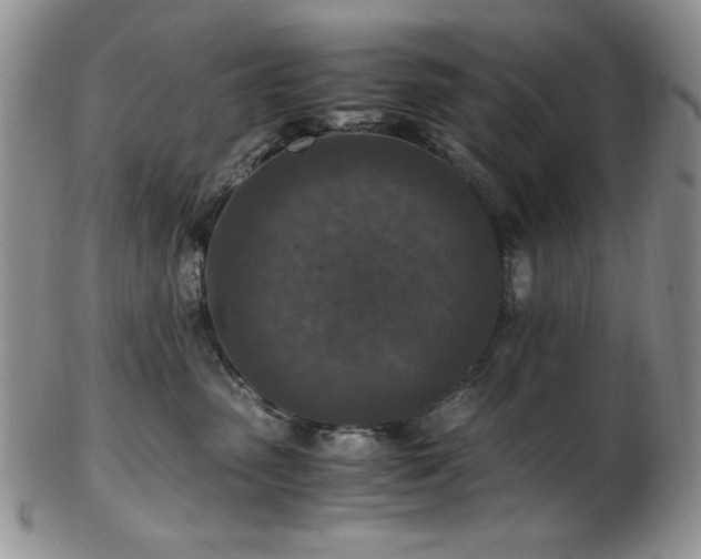 X0000103140475200808221220