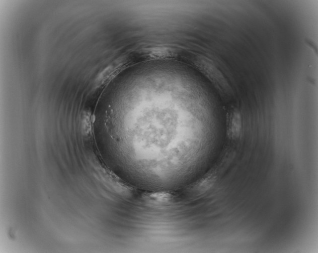 X0000103140478200808221220