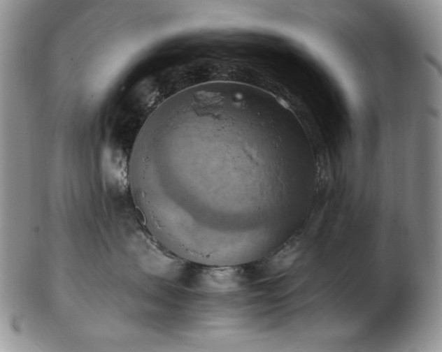 X0000103140479200808221220