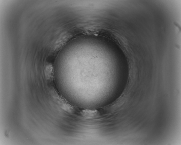 X0000103140480200808221220