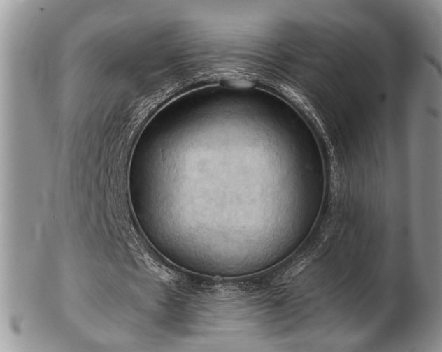 X0000103140481200808221219