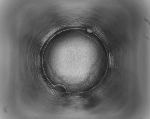 X0000103140483200808221219