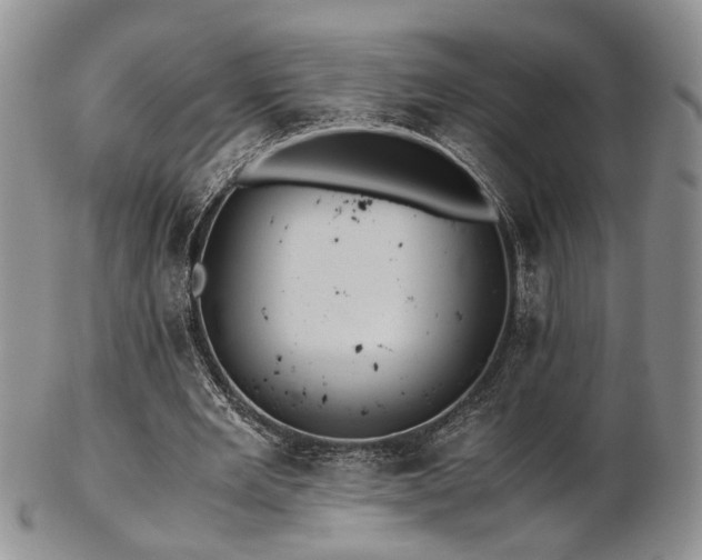 X0000103140485200808221219