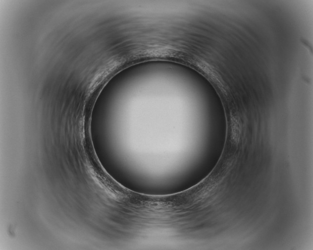 X0000103140486200808221219