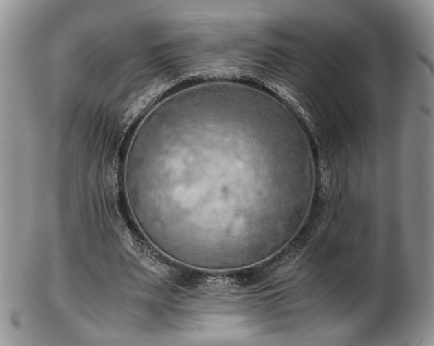 X0000103140487200808221219