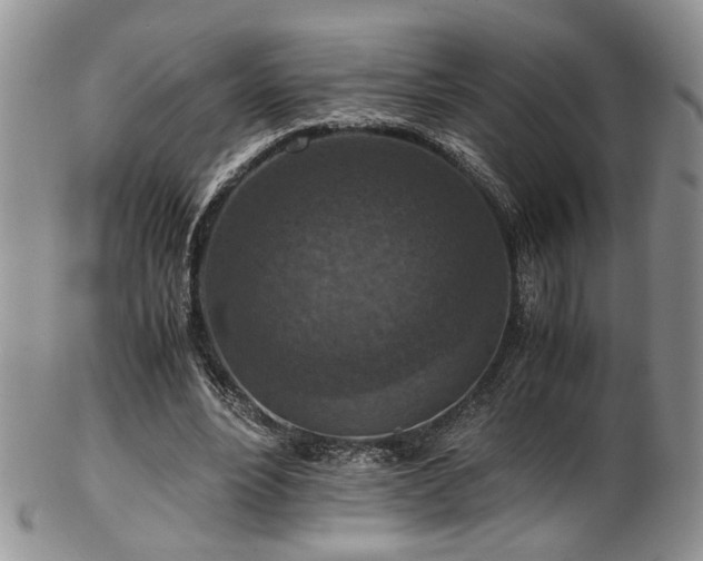 X0000103140488200808221219