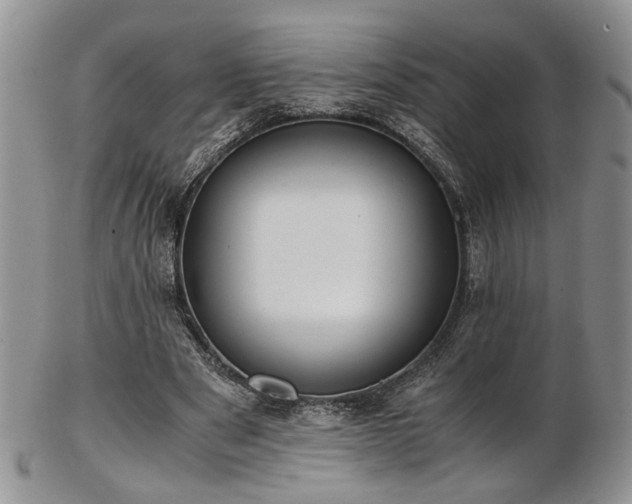 X0000103140489200808221219