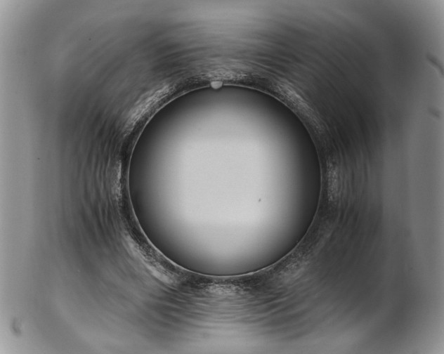 X0000103140490200808221219