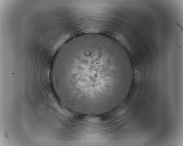 X0000103140491200808221219