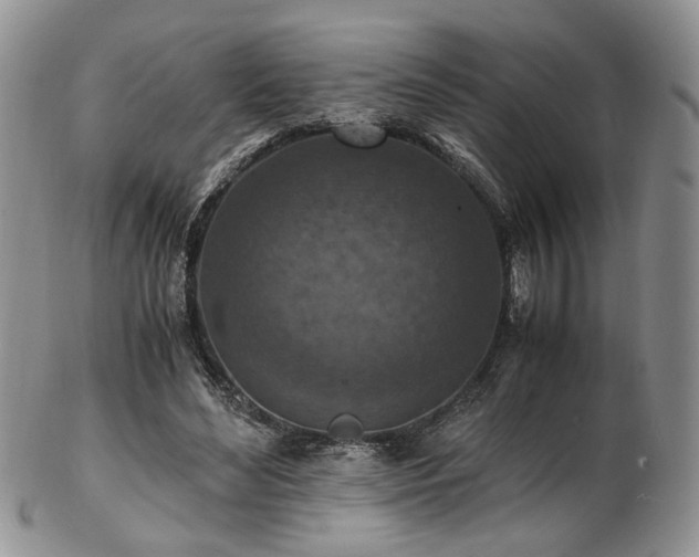 X0000103140492200808221219