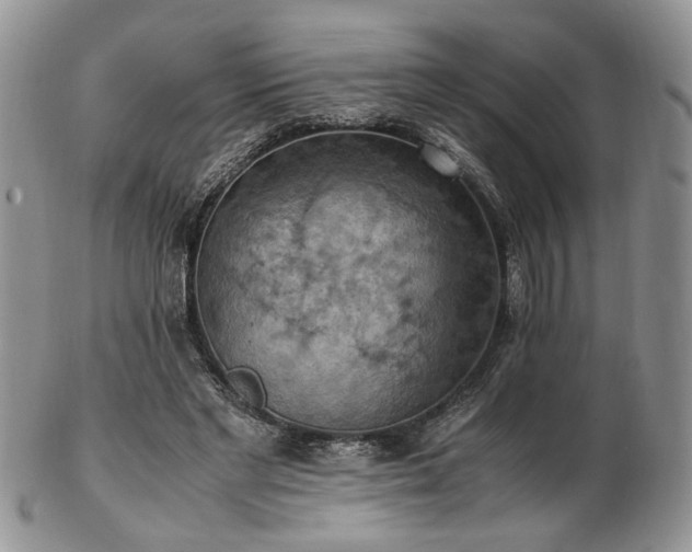 X0000103140493200808221219