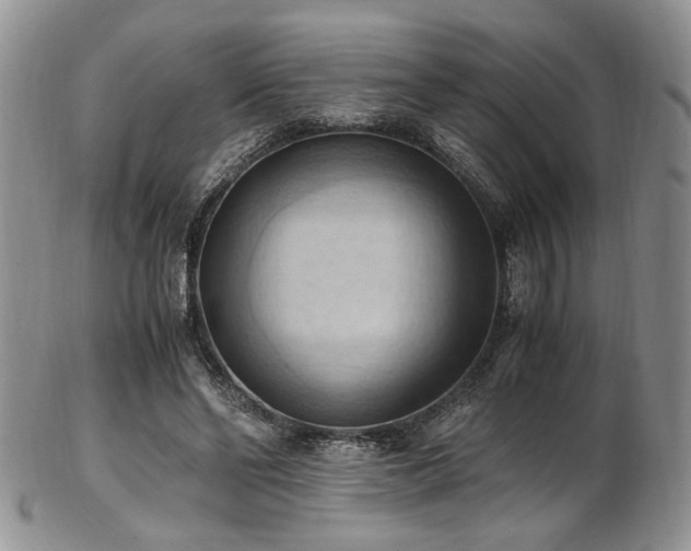 X0000103140494200808221219