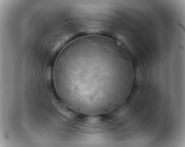 X0000103140495200808221219