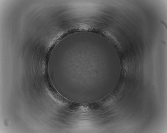 X0000103140496200808221219