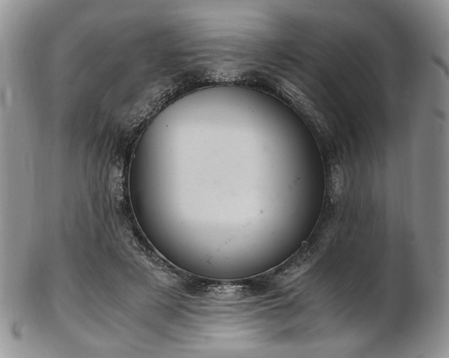 X0000103140497200808221219