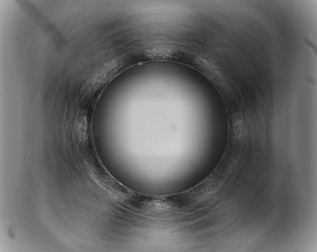 X0000103140498200808221219