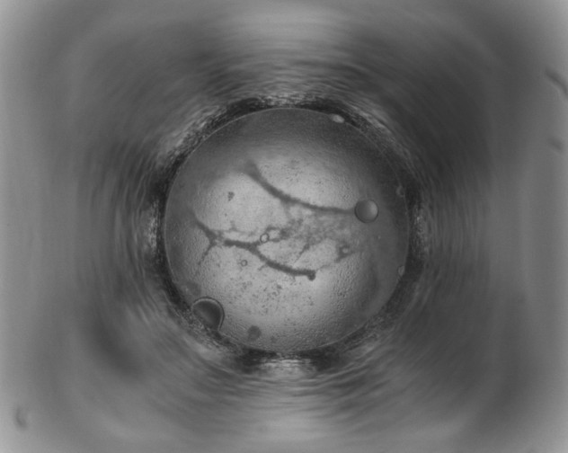 X0000103140499200808221219