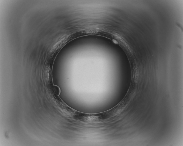 X0000103140501200808221219