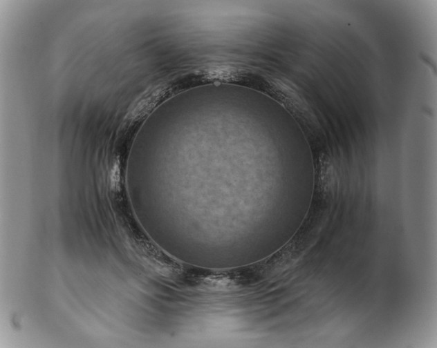 X0000103140502200808221219