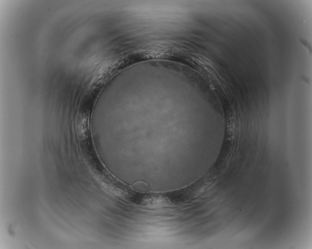 X0000103140503200808221219