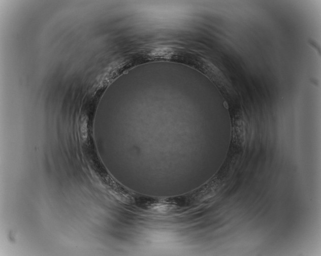 X0000103140504200808221219